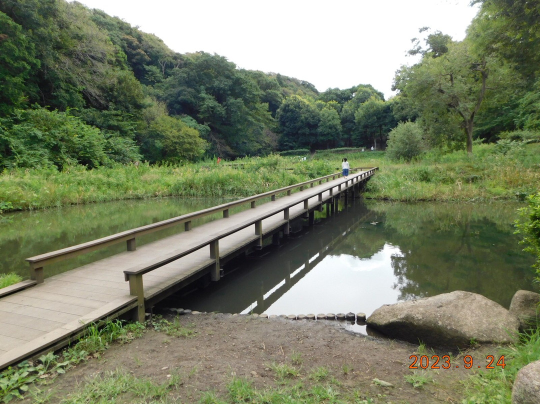 Shinbayashi Park-藤泽市必去景点