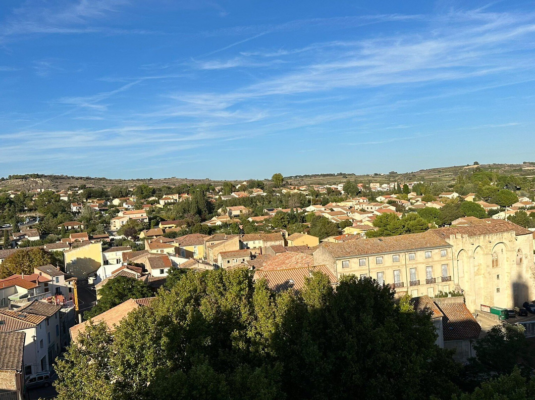 Collegiale Saint-Etienne景点图片