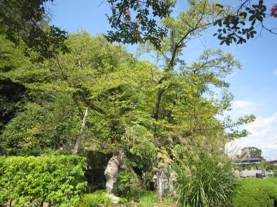 Jorin-ji Temple景点图片