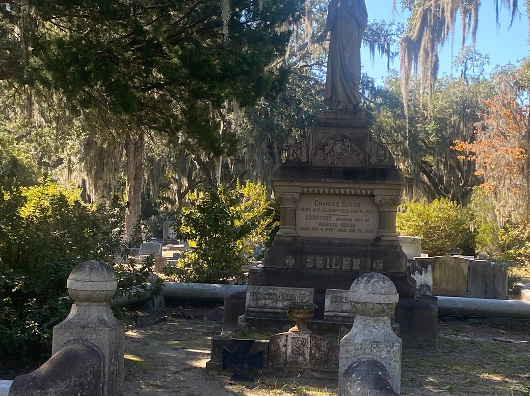 Savannah Cruzers-萨凡纳必去景点