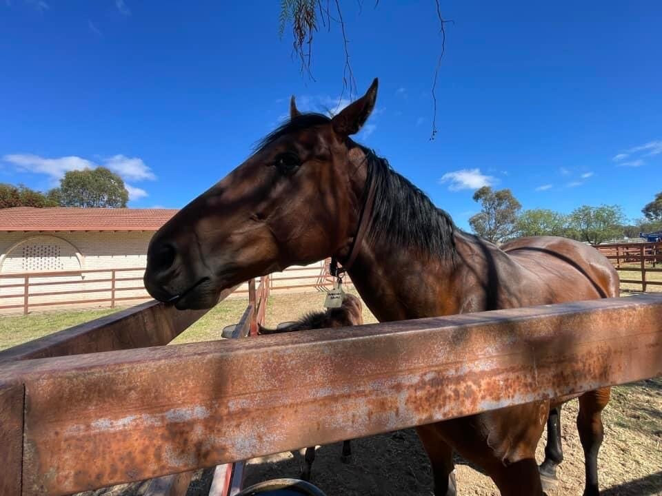 Gooree Park-马奇必去景点