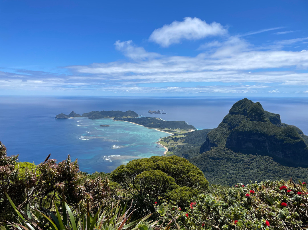 Lord Howe Environmental Tours景点图片