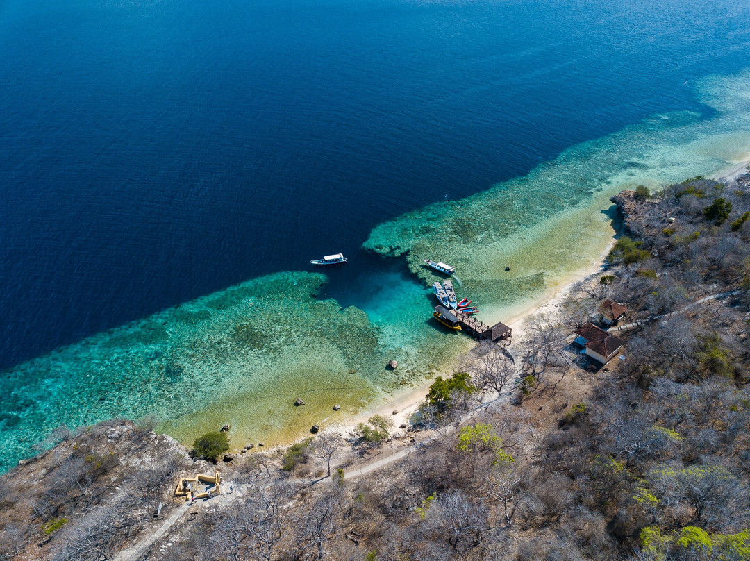 Snorkeling Menjangan Island景点图片