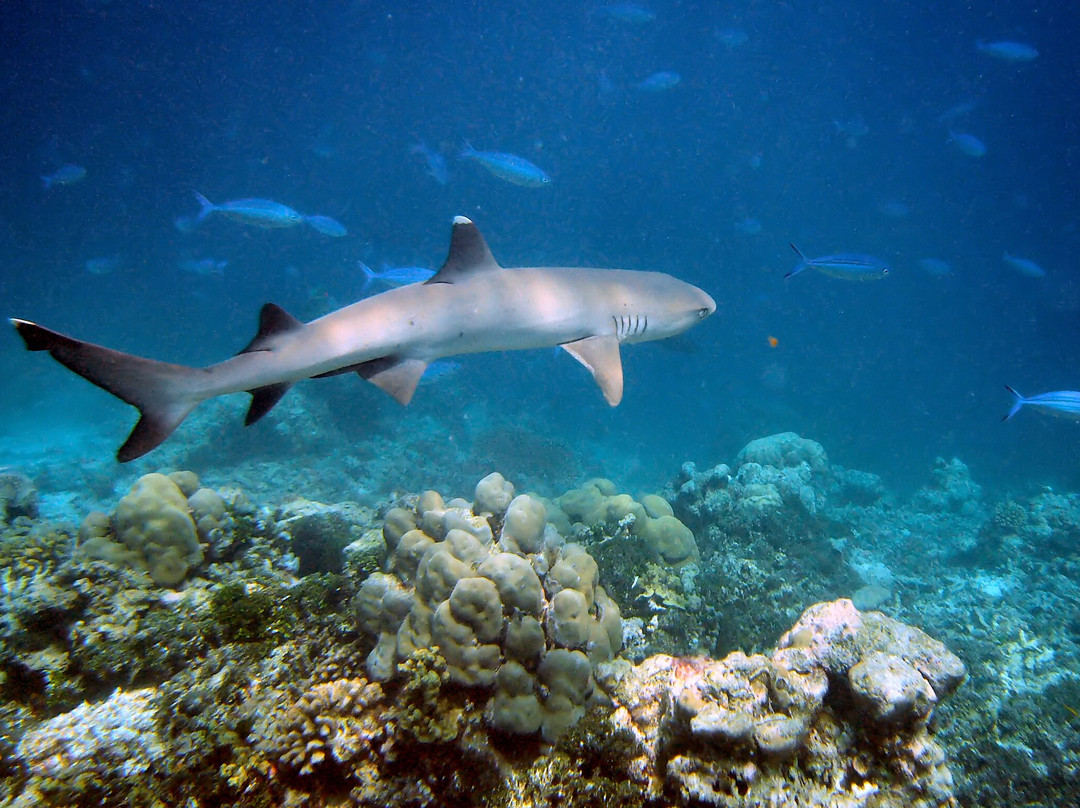 马尔代夫自然天堂度假酒店主图