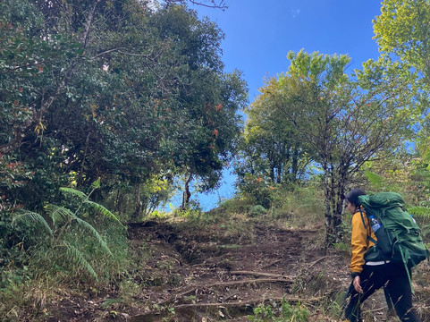 Bangkok Hiking-曼谷必去景点