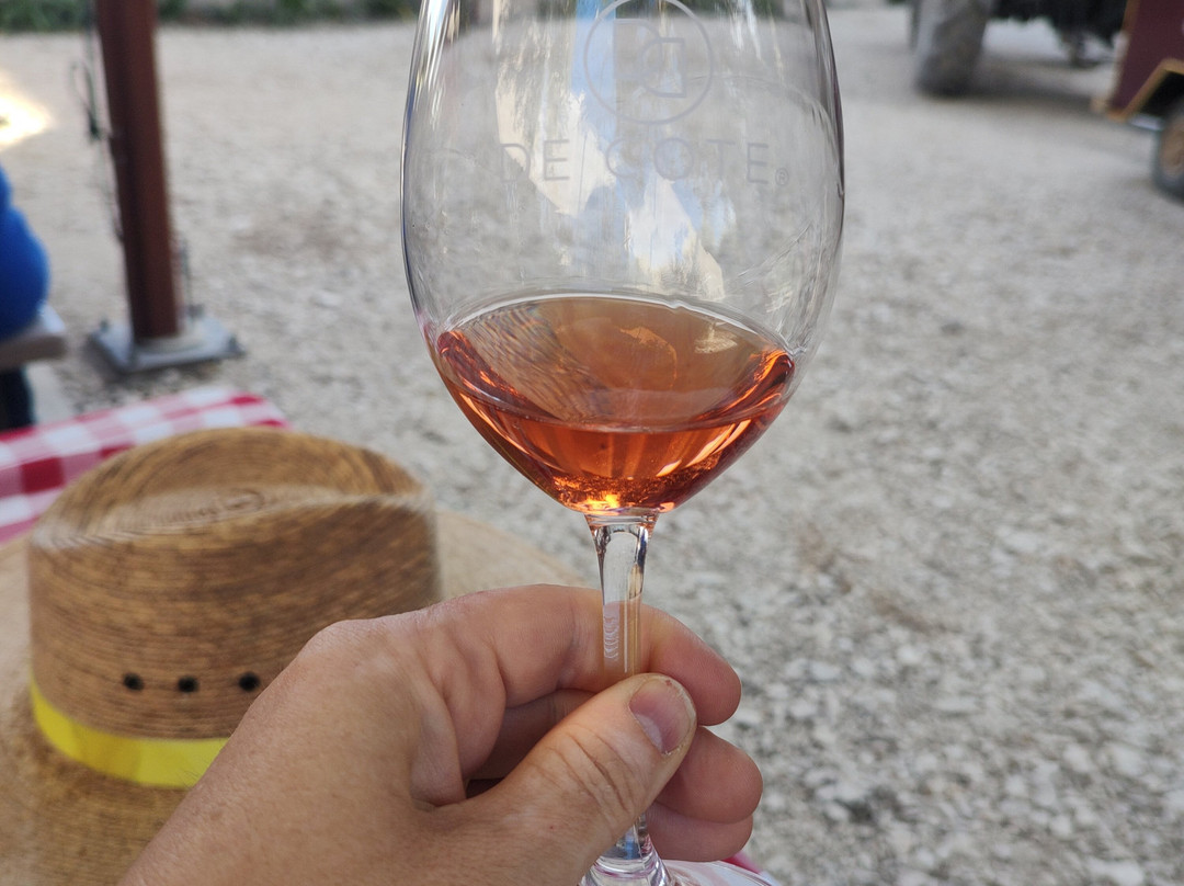 De Cote Casa Vitivinicola景点图片