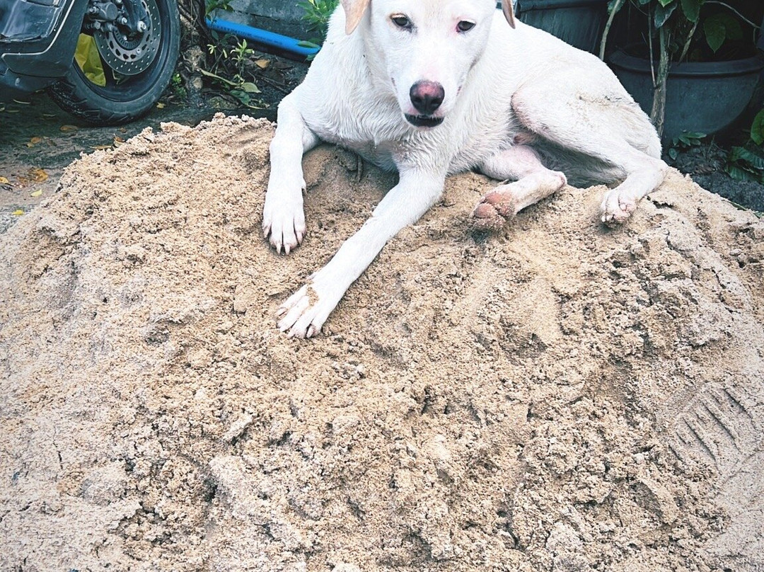 帕恰拉宾馆主图