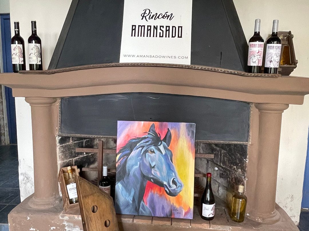 Experiencia Amansado Wines-路冉得库约必去景点