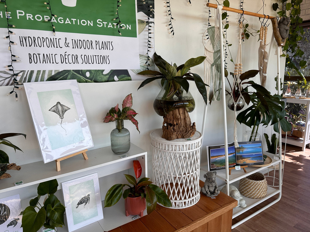 The Propagation Station-North Haven必去景点