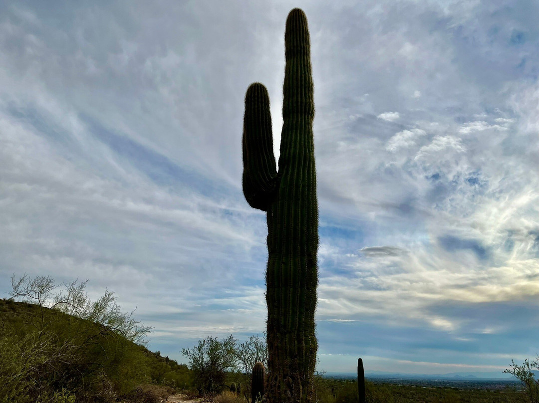 The Gateway Trailhead-斯科茨代尔必去景点