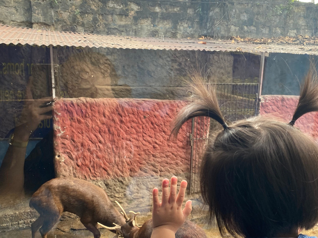 Malabon Zoo-马拉闵必去景点