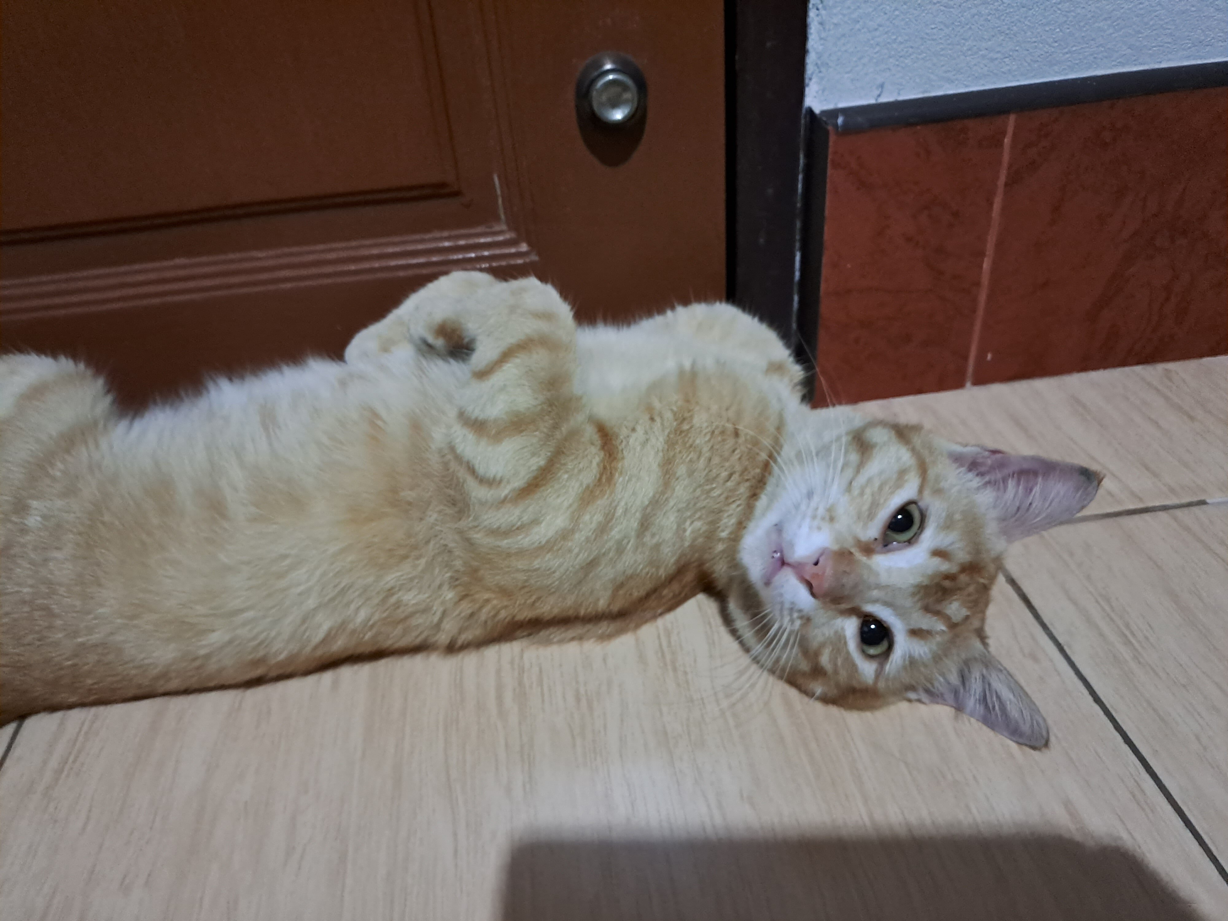 故乡花园旅馆-官方