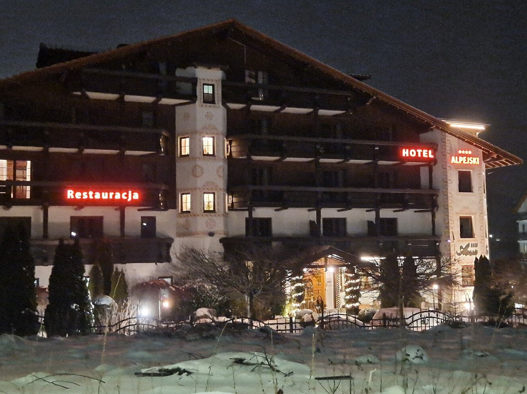 Alpejski Hotel主图