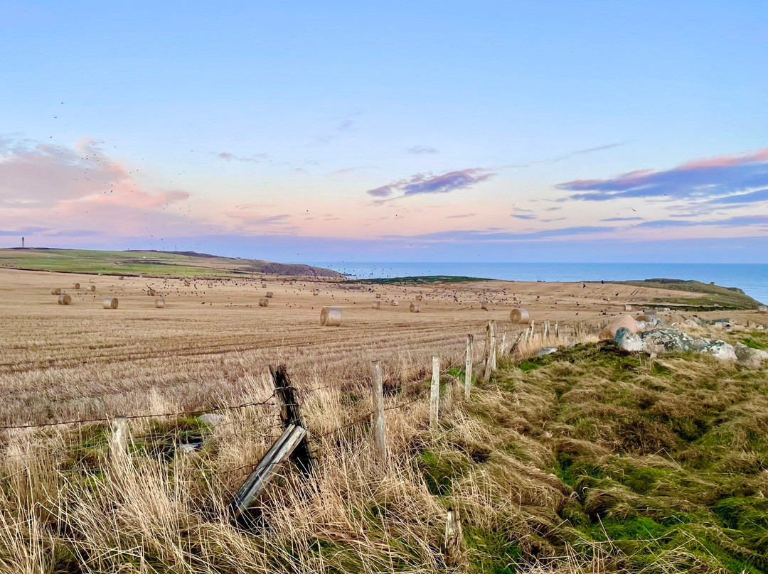 Longhaven Cliffs