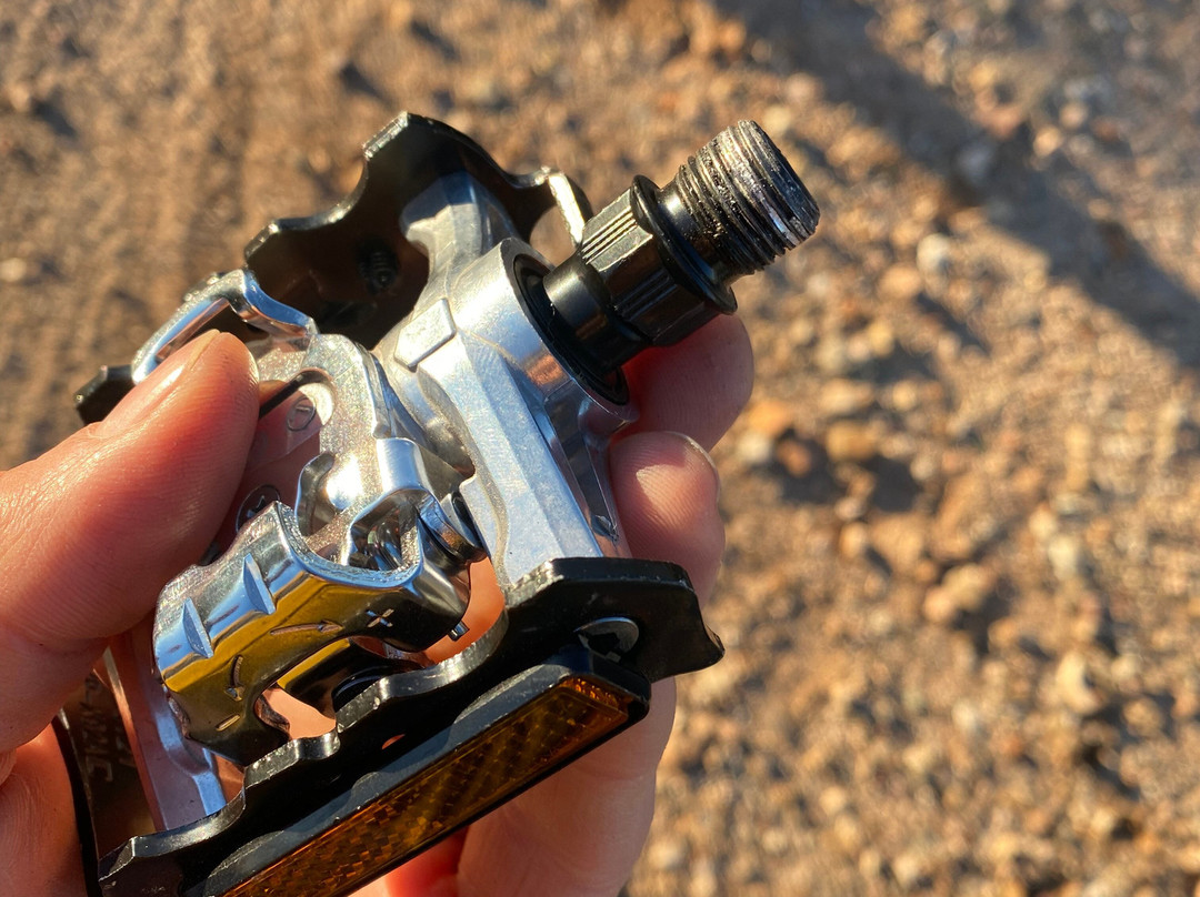 Sightseeing Bike Tours-图森必去景点