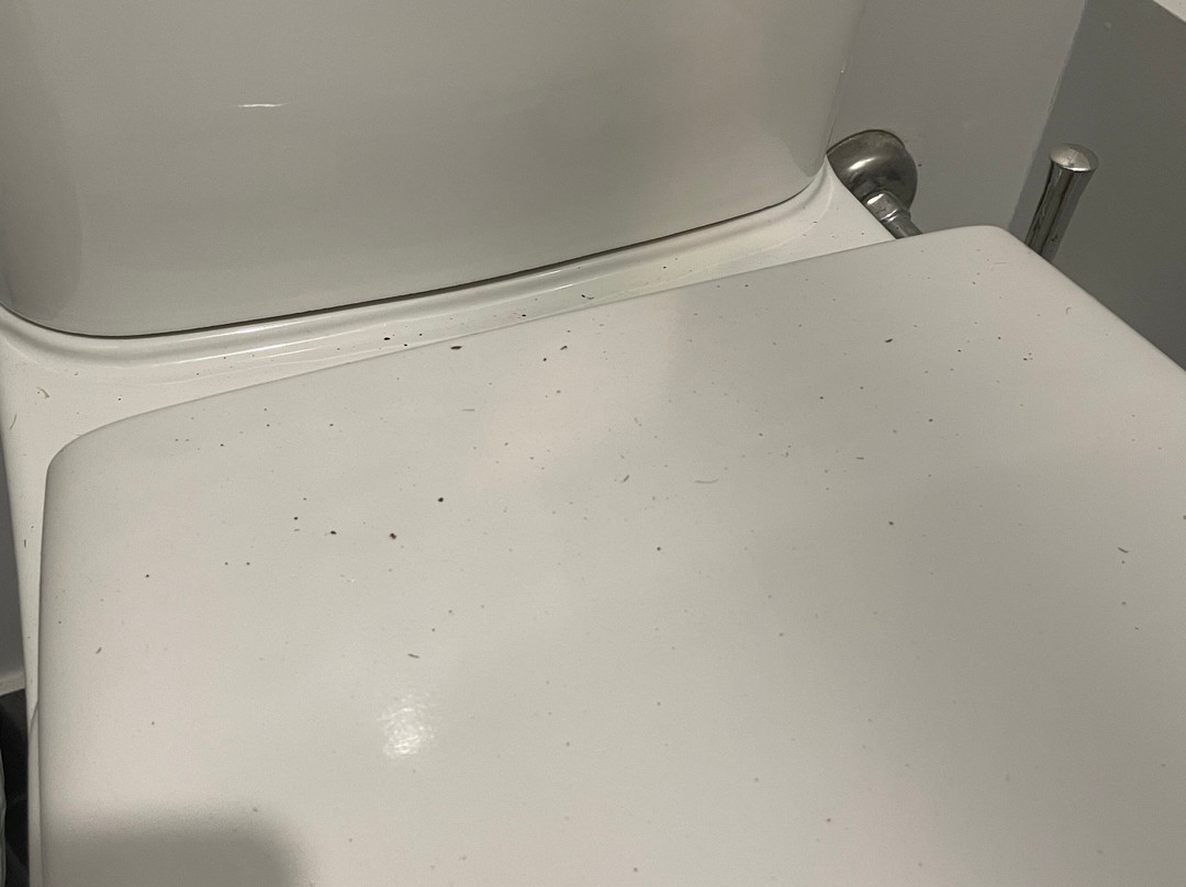 Claremont Hotel主图