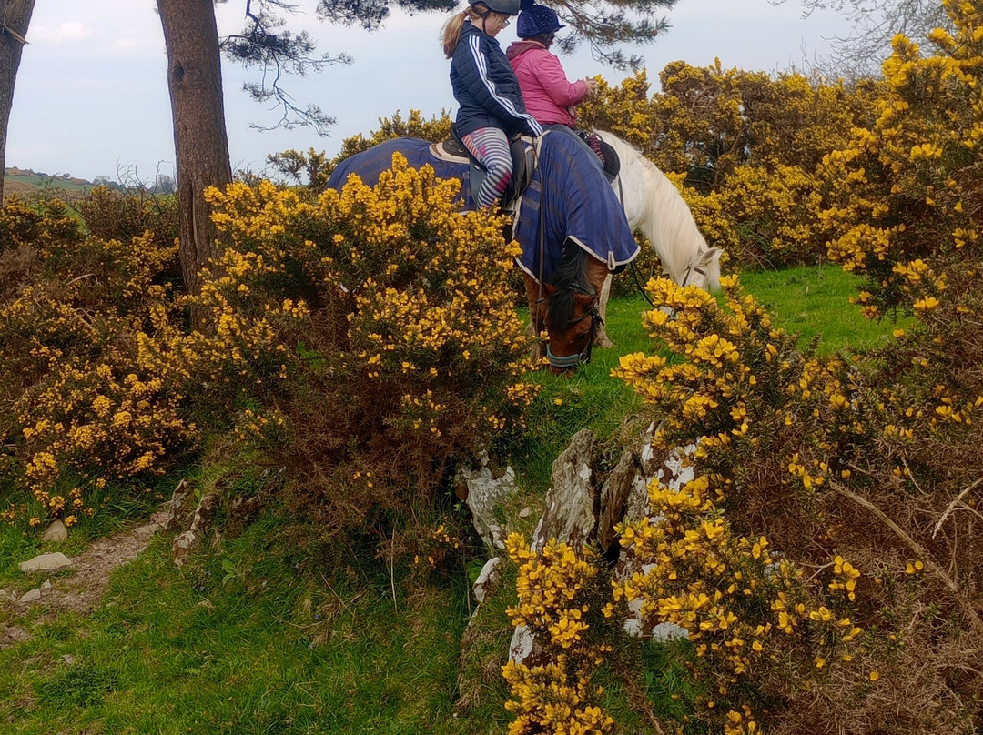 Tipperary Mountain Trekking Centre景点图片