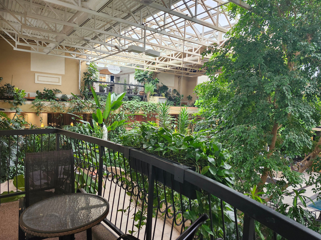 Hotel L'Oiseliere - Montmagny主图