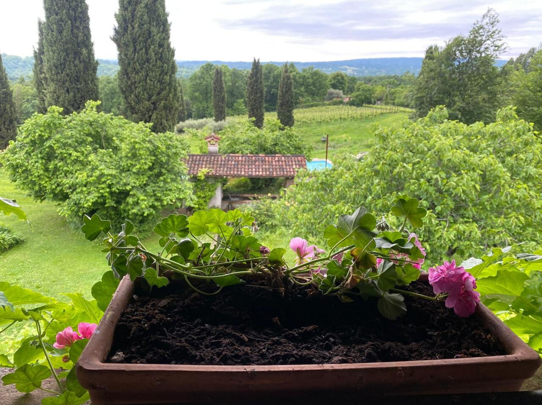 Maso Di Villa Relais Di Campagna主图