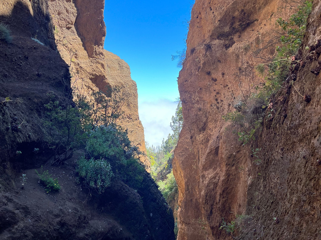 Natura Xtreme Tenerife-特纳里夫必去景点