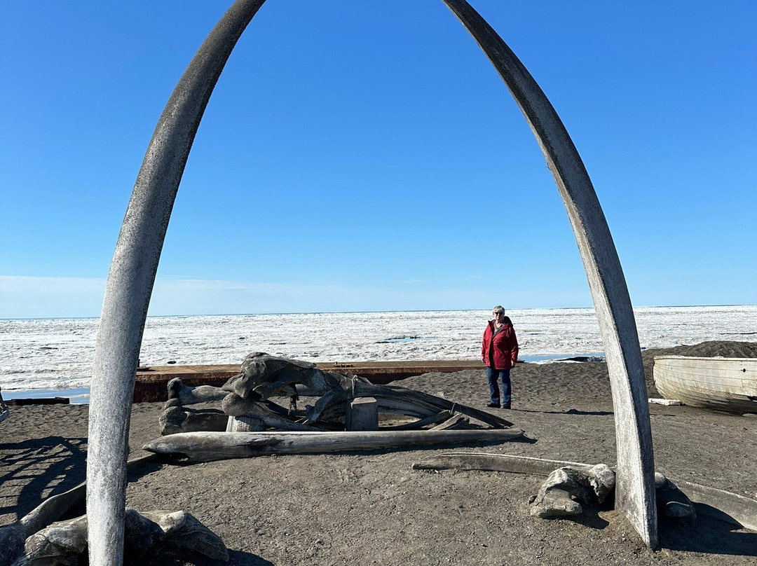 Whale Bone Arch景点图片