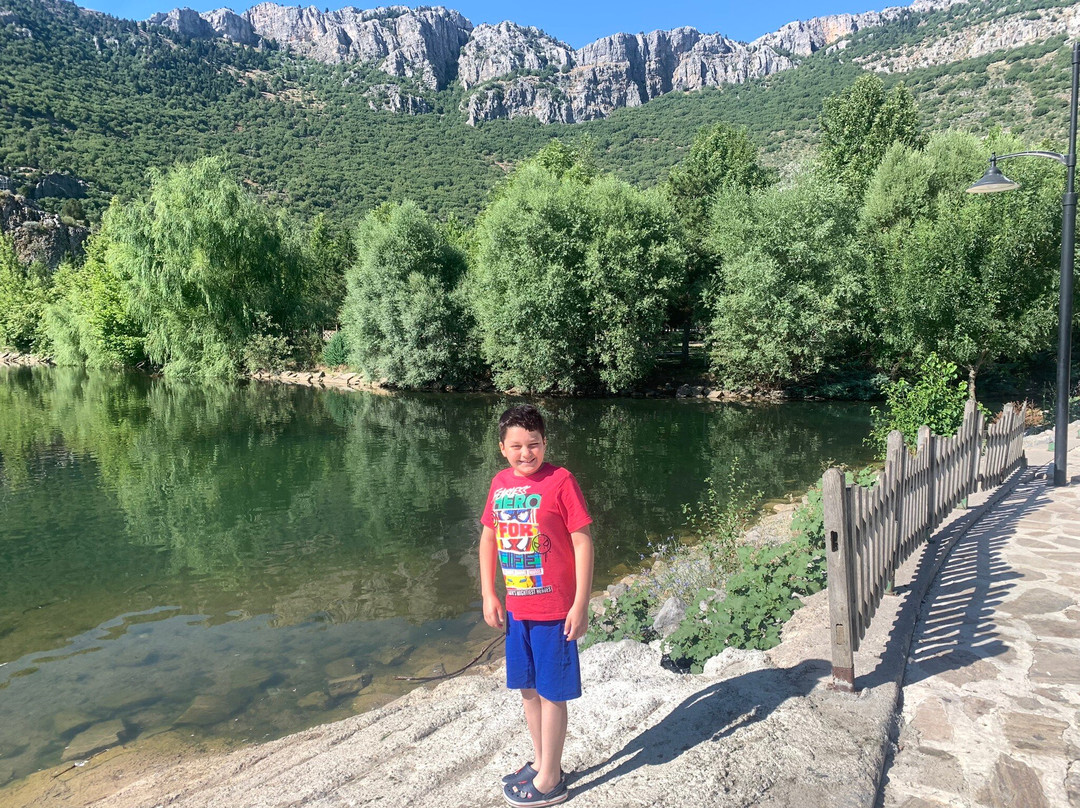 Kuğulu Park景点图片