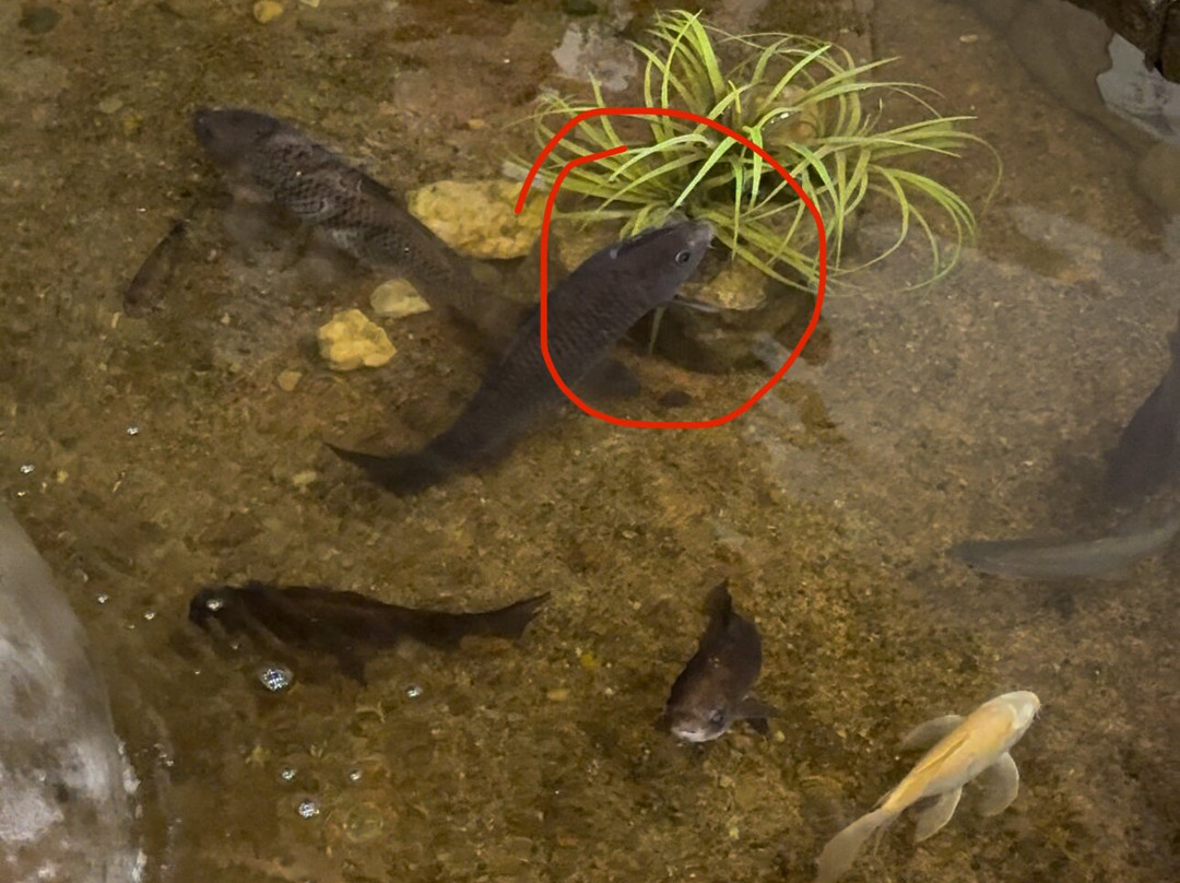 Hotel Razdolie主图