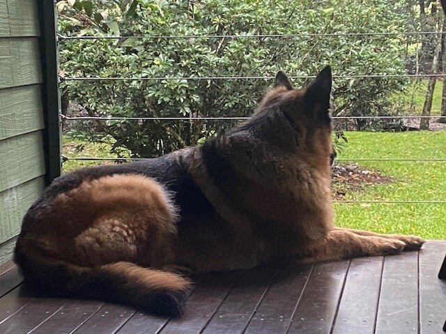 Chilverton Cottages & Day Spa主图