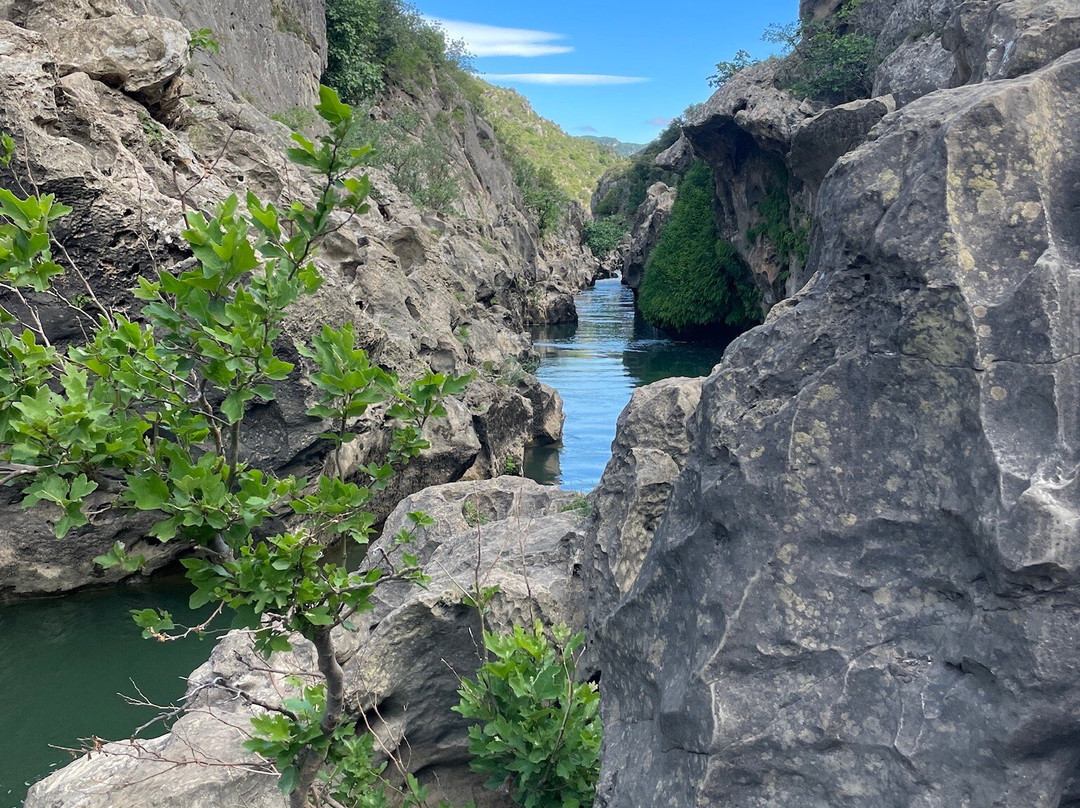 Alteo Nature-Saint-Gely-du-Fesc必去景点