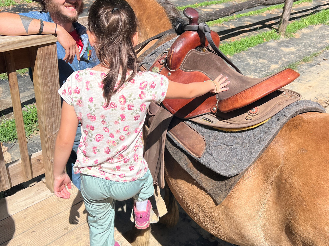 Sugarland Riding Stables-盖林柏格必去景点