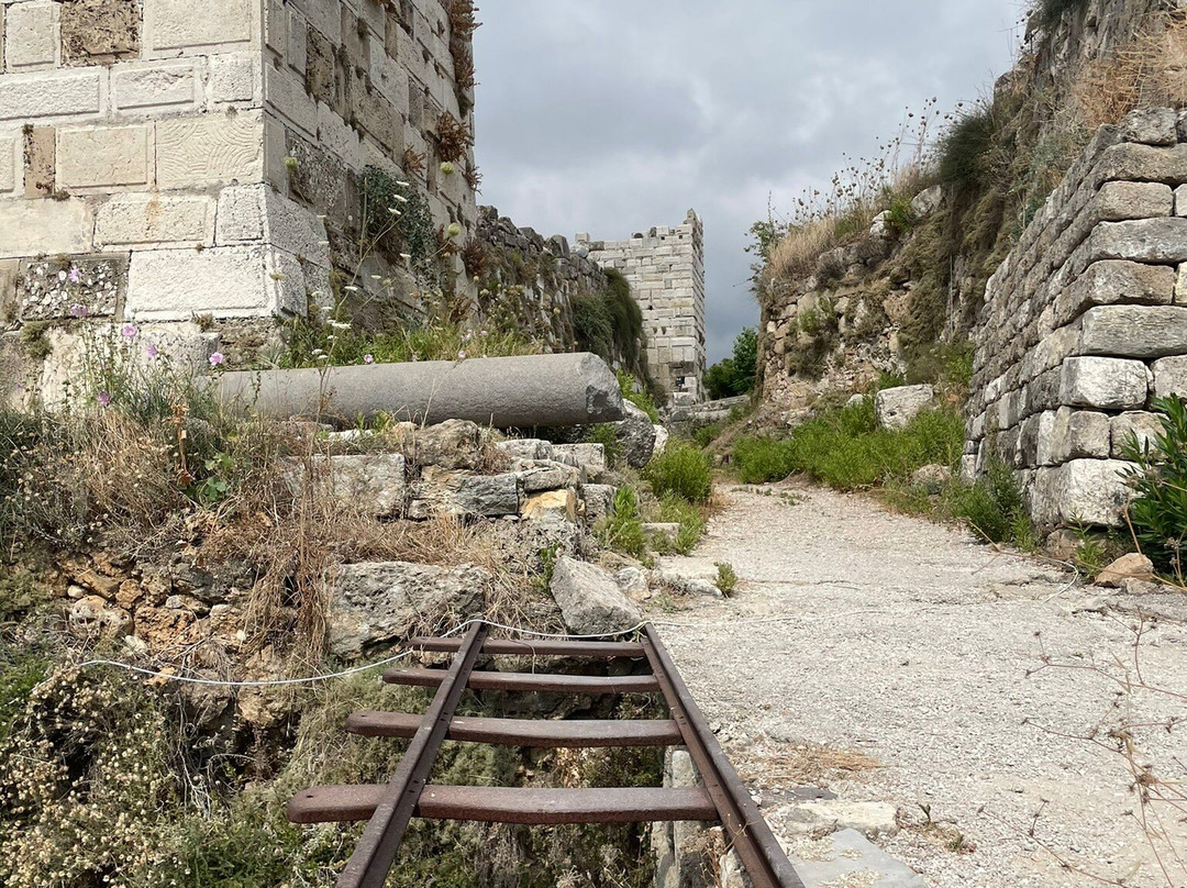 Nexus Tours Lebanon-贝鲁特必去景点