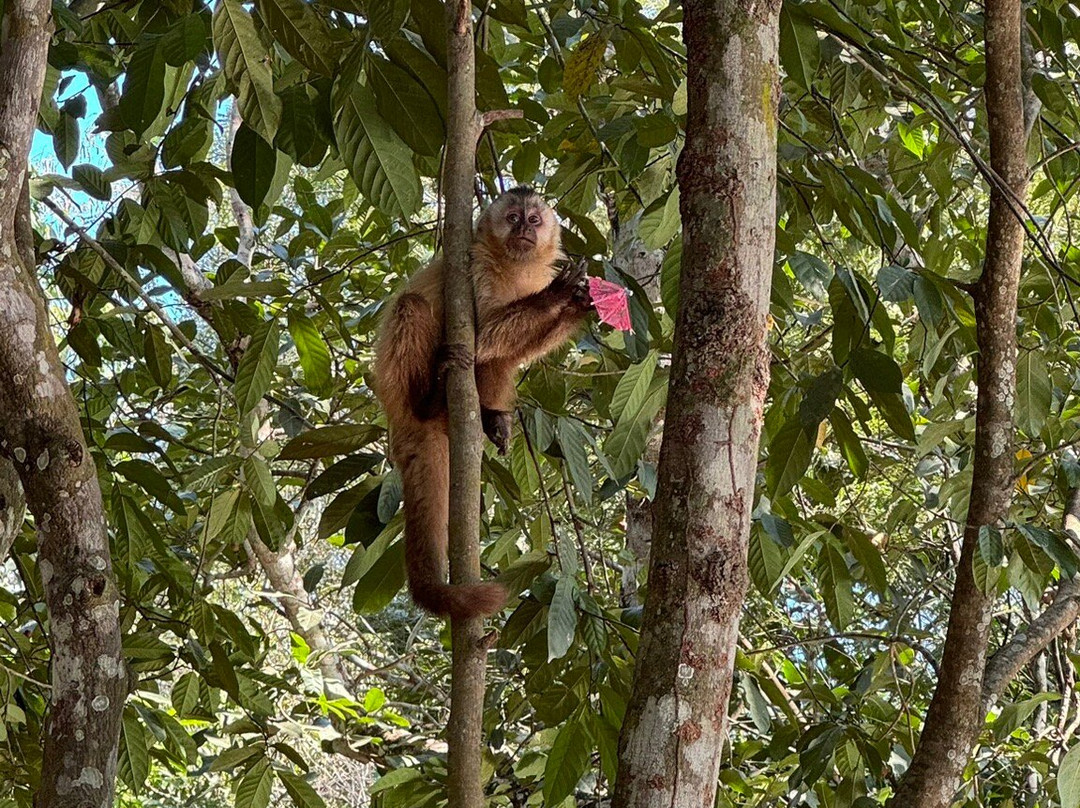 Aquário de Bonito-博尼图必去景点