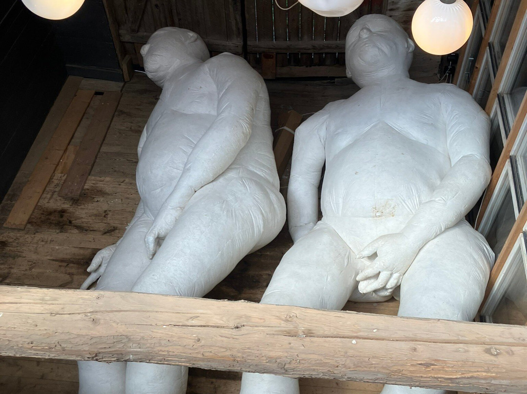 Alma Löv Museum景点图片