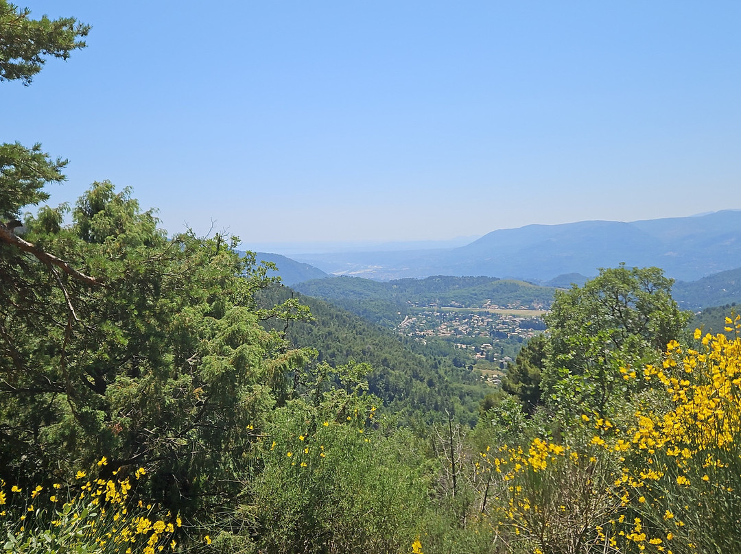 Go Fun-尼斯必去景点