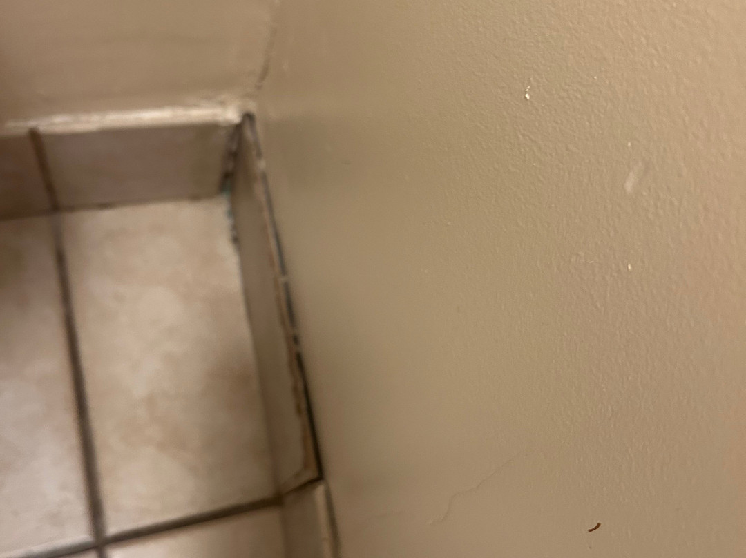 Red Roof PLUS+ Long Island - Garden City主图