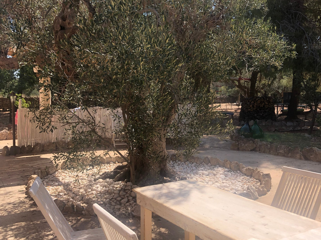 B&B Macchia Salentina主图