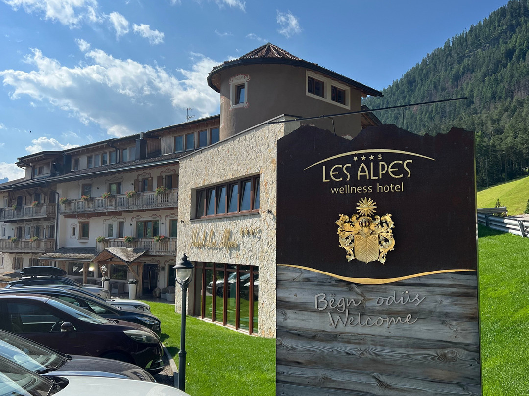 Hotel Les Alpes主图
