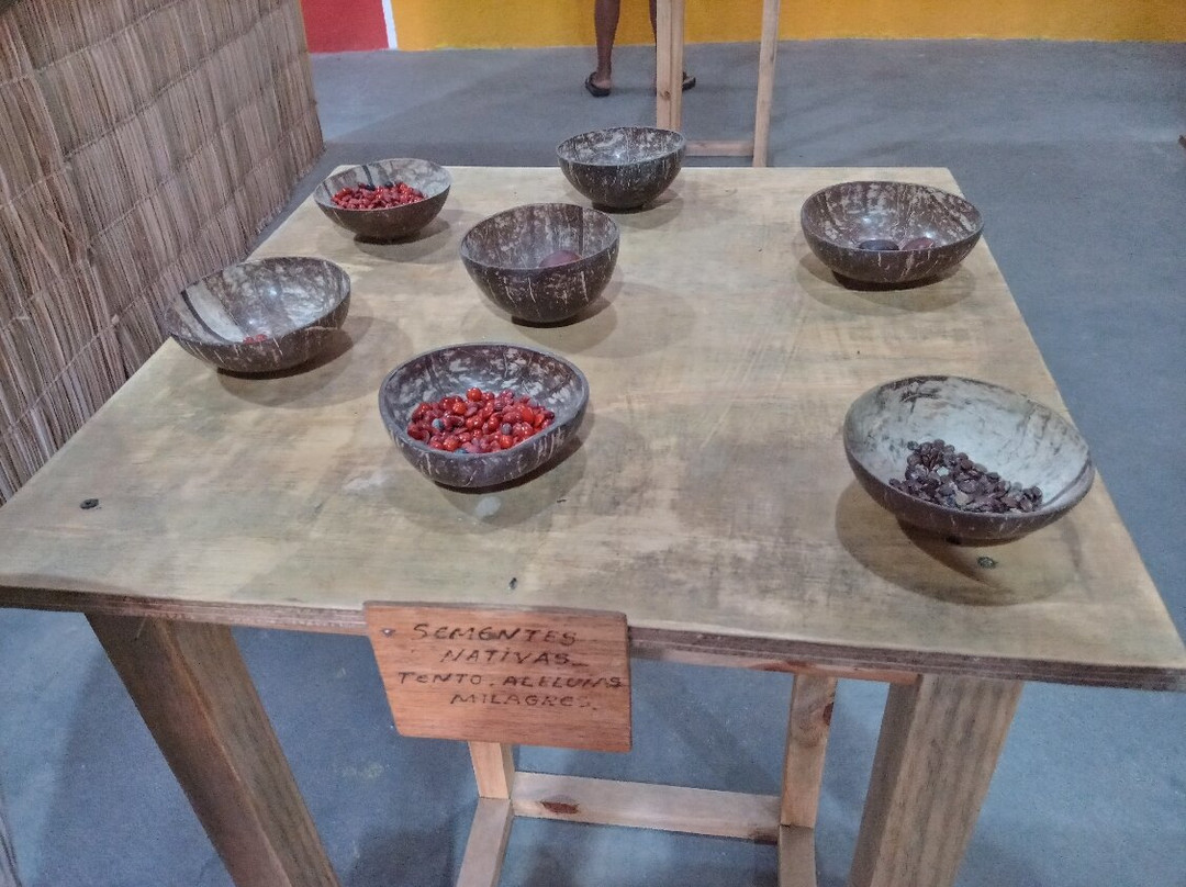 Museu Indigena Da Aldeia Pataxo景点图片