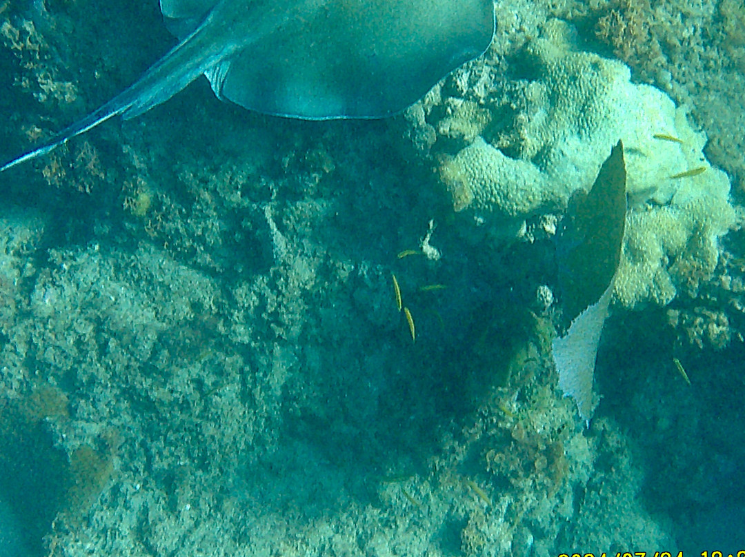 Playa Peña Blanca-Aguadilla必去景点
