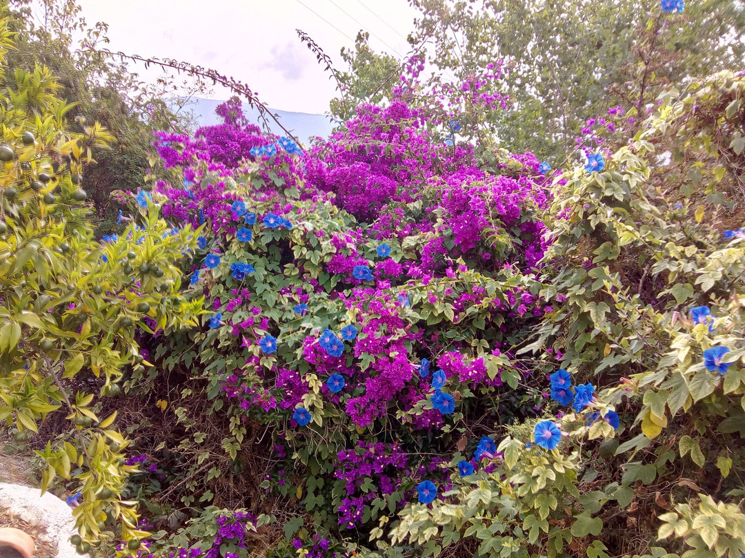 Kaminakia Apartments主图