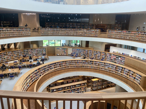 Slava Bazarski Tour Guide in Israel-特拉维夫必去景点