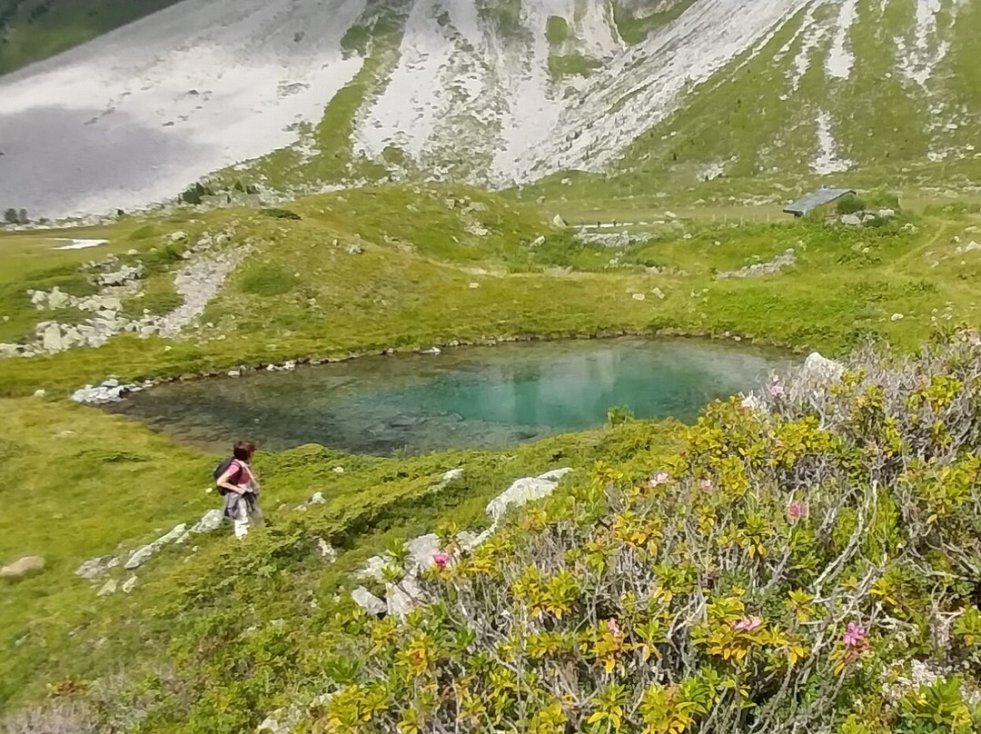 Pierre & Vacances Residence Les Sentiers du Tueda主图