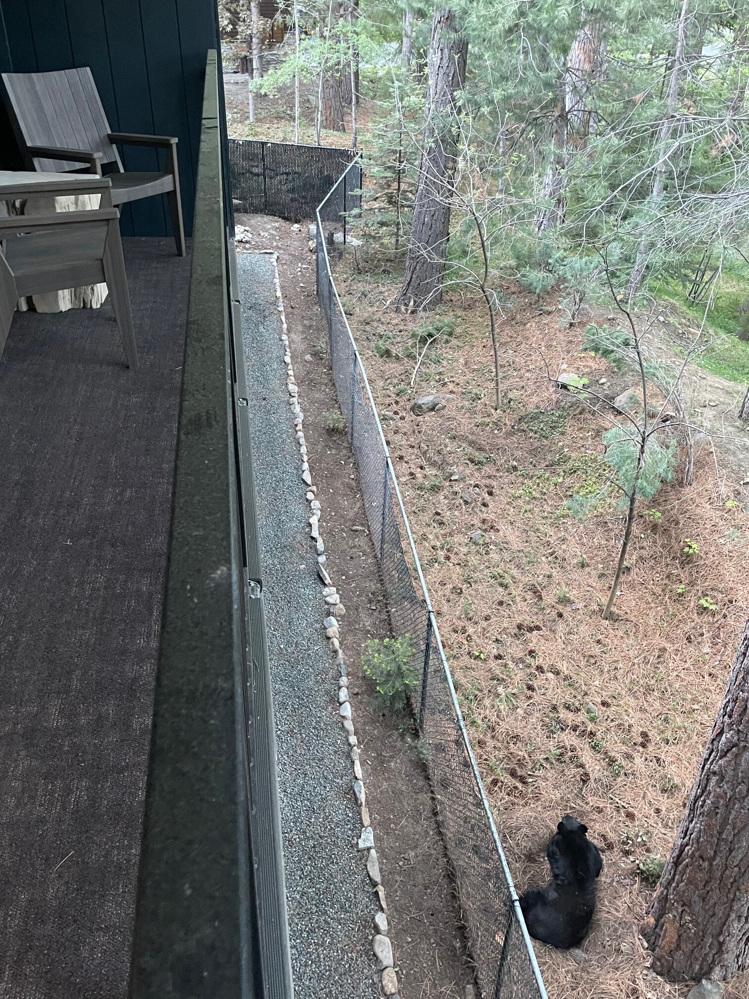 茵克莱公园酒店-酒店景观