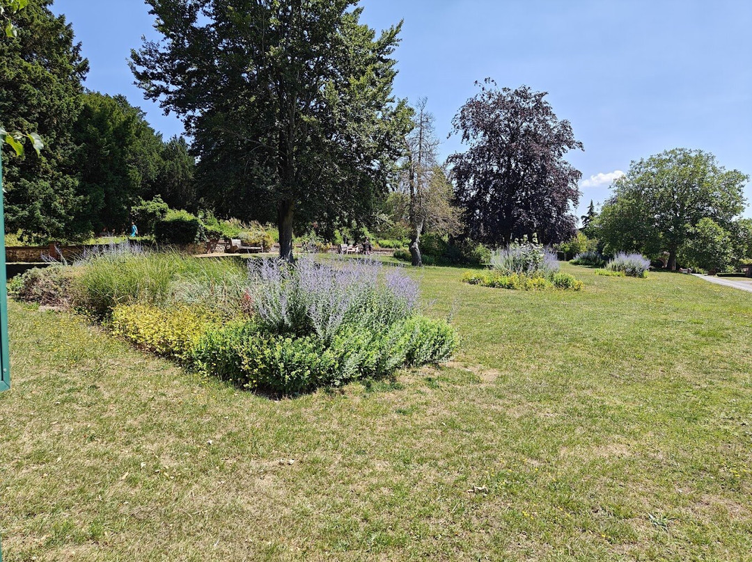 Leatherhead Park Gardens景点图片