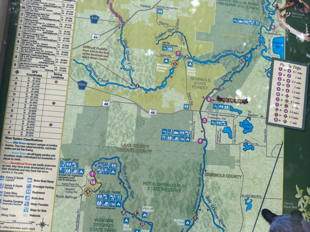 Katie's Wekiva River Landing-桑福德必去景点