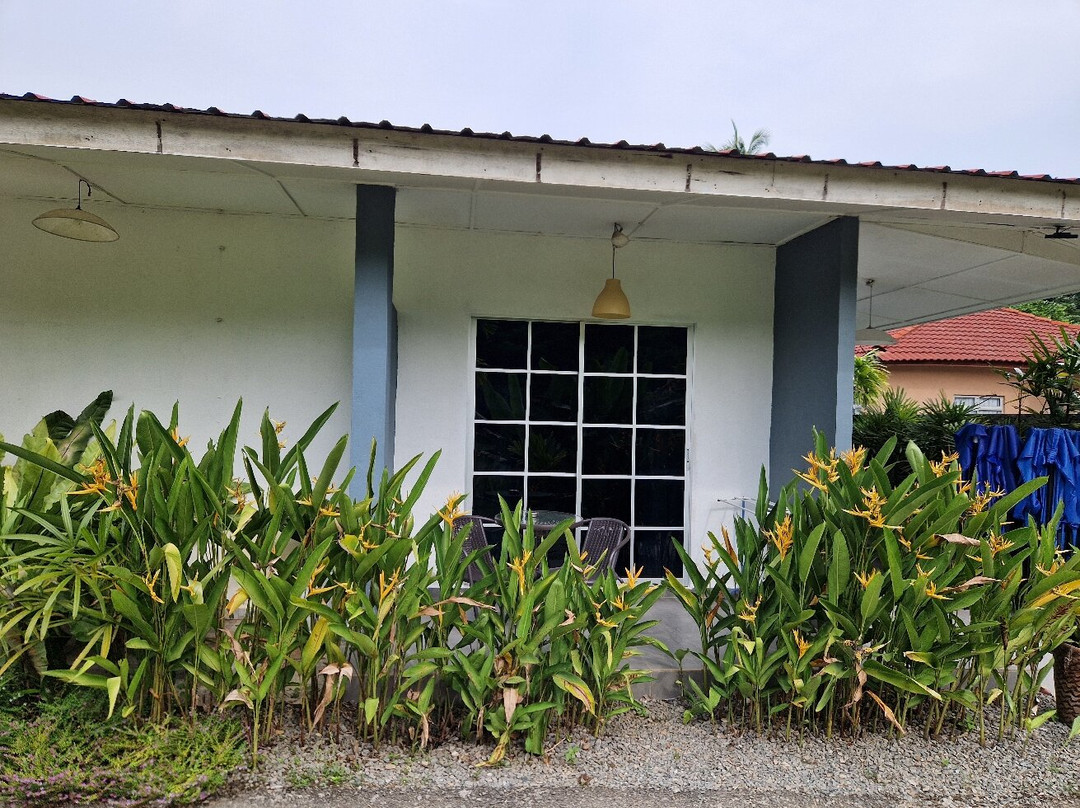 TEBiNG Guesthouse Taman Negara Malaysia Kuala Tahan主图