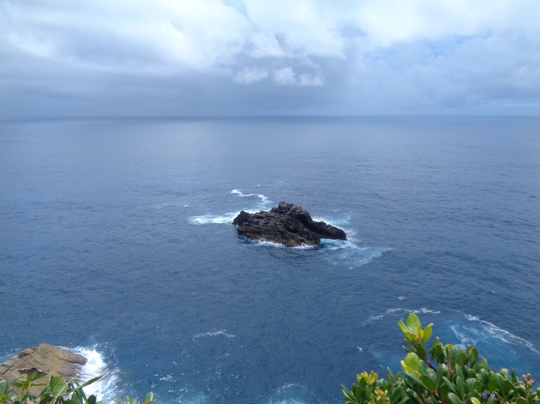 Ashizuri-Uwakai National Park-四国必去景点