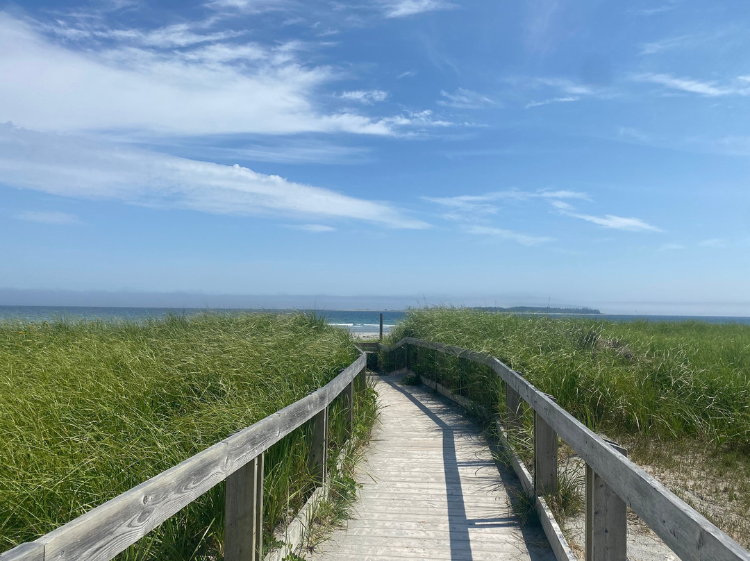 Beach Meadows Beach Park景点图片