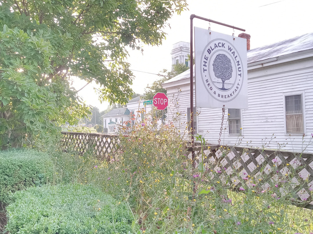 Black Walnut Bed and Breakfast主图