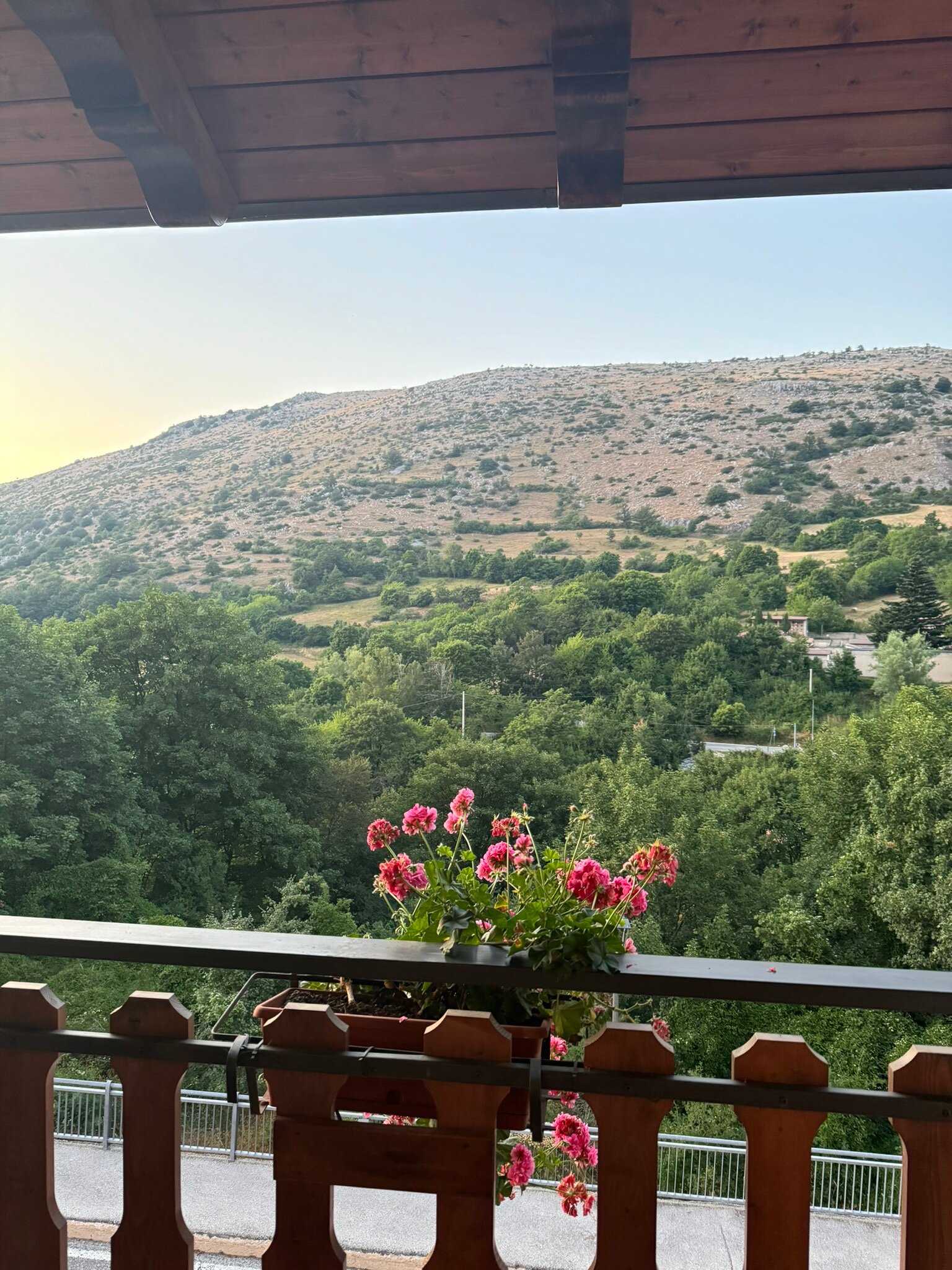 Ginepro d'Abruzzo-官方